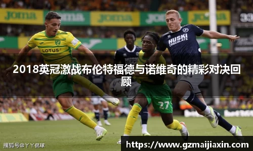 2018英冠激战布伦特福德与诺维奇的精彩对决回顾